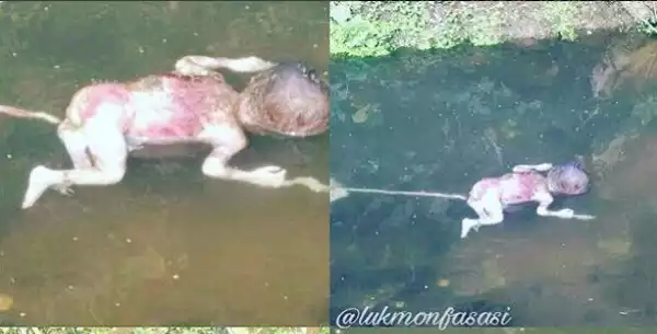 Dead Body Of One-Day Old Baby Found Floating In A River In Oyo. Graphic Photos